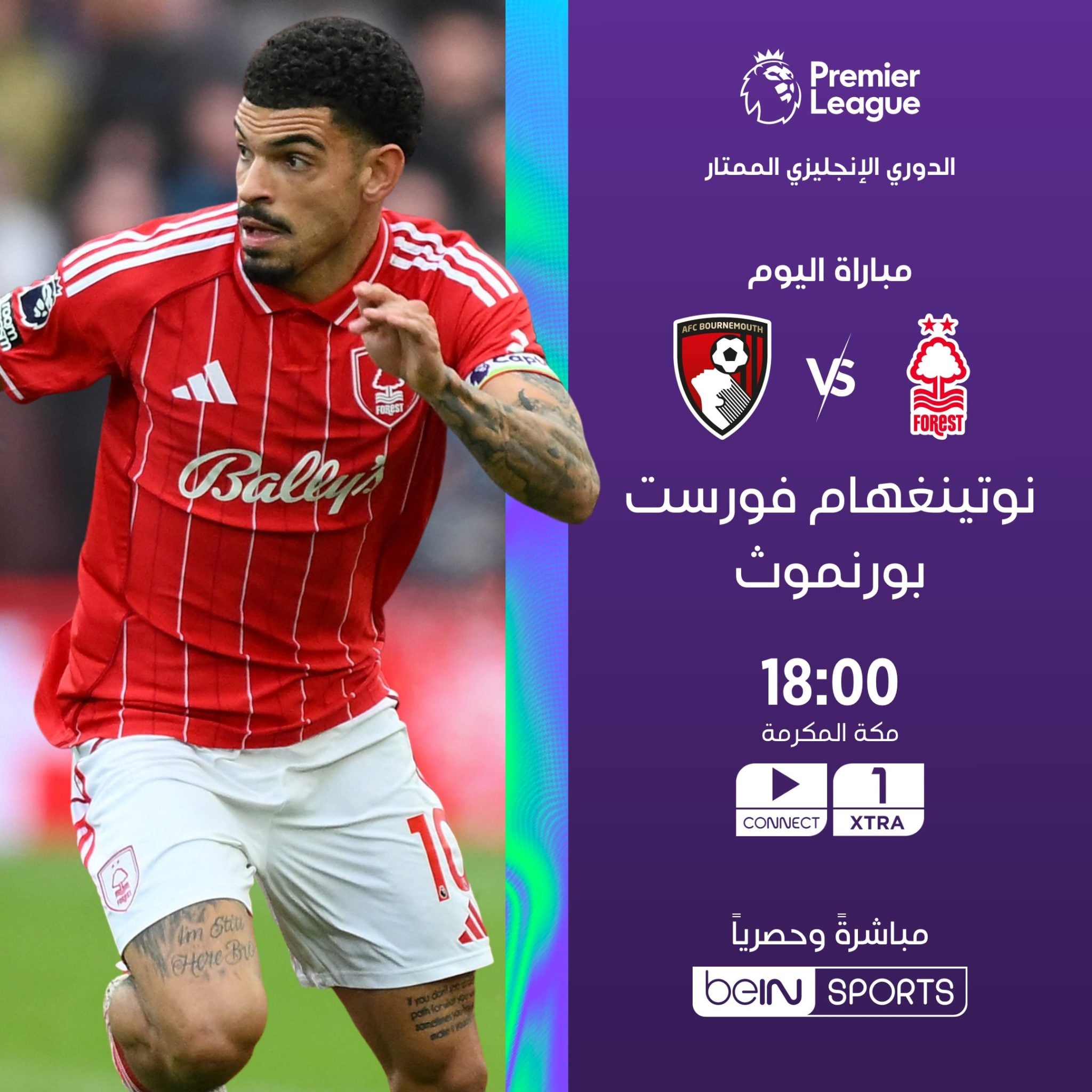 الجولة الأخيرة من الدوري الإنجليزي 2026 تشعل البريميرليج.. مواجهات نارية تحسم الصراع الأوروبي والهبوط